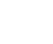 Evolution games at Winown Casino